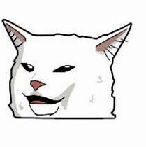 Image result for Silly White Cat Meme