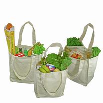 Image result for Organic Cotton Bags