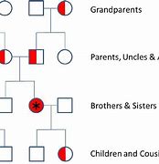 Image result for Homozygous Recessive Example