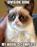 Image result for Grumpy Cat Work