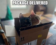 Image result for Package Acquired Meme