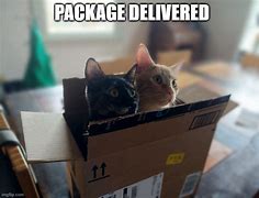 Image result for Package Arrived Meme