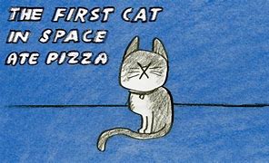 Image result for First Cat Meme