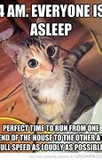 Image result for run cats memes funniest