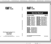 Image result for Shop Manual Cat