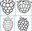 Image result for BlackBerry and Peach to Color