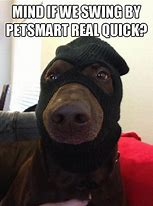 Image result for Dog with Ski Mask and Gun Meme