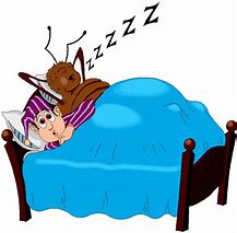 Image result for Bed Bug Cartoon