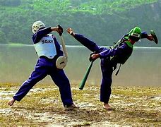 Image result for Sqay Martial Art