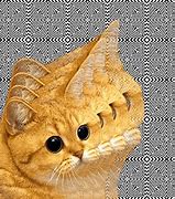 Image result for Cute Anime Galaxy Cat Wallpaper