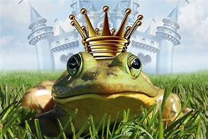 Image result for Frog Prince Rain Chain