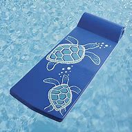 Image result for Most Durable Pool Floats