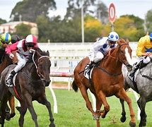 Image result for Ascot Racing 24th June 23