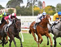 Image result for Ascot Racing Casino