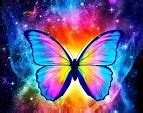Image result for Ultra HD Wallpaper Butterfly