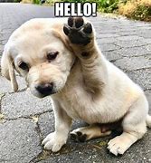 Image result for Say Hello Meme