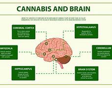 Image result for Positive Side Effects of Marijuana