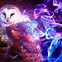 Image result for Cool Owl Pictures