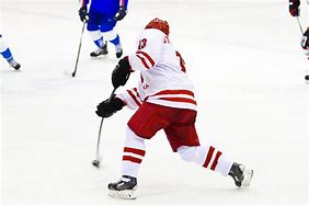 Image result for Ice Hockey Gear