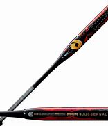 Image result for Slowpitch Softball Bats