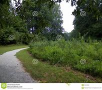 Image result for follow trail
