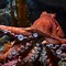 Image result for The Biggest Octopus Is On Earth