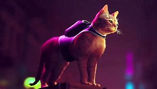 Image result for Stray Cat Game PFP