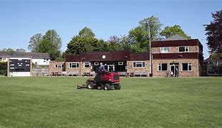 Image result for Cricket Outfield Cutting