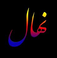 Image result for Nastaliq Calligraphy