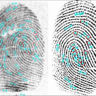 Image result for Fingerprint Comparison