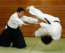 Image result for What Is Aikido