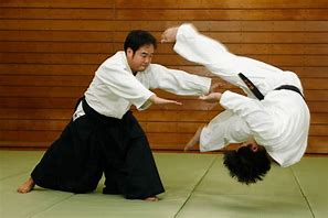 Image result for aikido