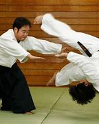 Image result for aikido