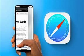 Image result for Safari Extensions iOS