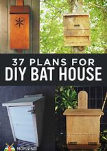 Image result for Simple Bat Box Plans