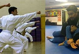 Image result for Types of Jujitsu Karate