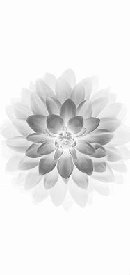 Image result for Flower Wallpaper iPhone X