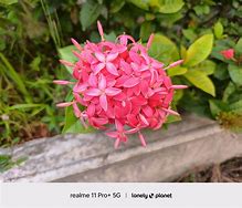 Image result for iPhone 5S Camera Samples