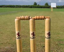 Image result for Cricket Magines