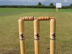Image result for Cricket Stum's with Sign