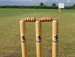 Image result for Cricket Sign for Bye