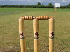 Image result for Cricket Logo Design