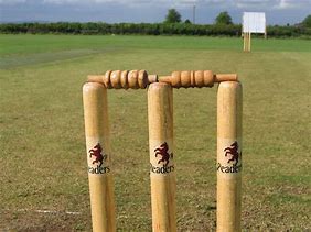 Image result for Cricket Pitch Wallpaper