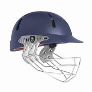 Image result for Indian Cricket Helmet