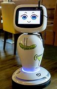 Image result for Robot Waiter Maldves
