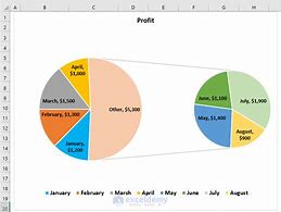Image result for Pie Chart with Subcategory Bar