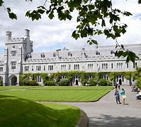 Image result for Irish Universities