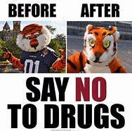 Image result for Auburn Tiger Memes