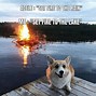 Image result for Dog with Big Smile Meme