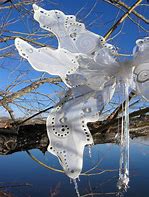 Image result for Winter Fairy Wings